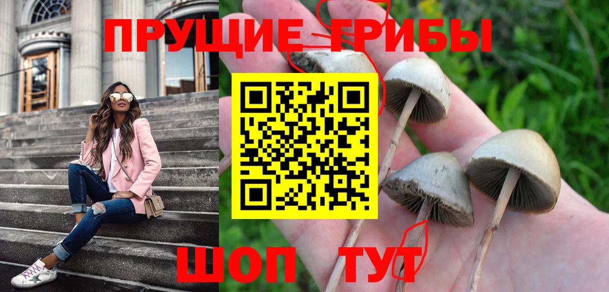 Псилоцибиновые грибы GOLDEN TEACHER  Галлюциногенные грибы Magic Shrooms  Вход с VPN  Усинск 